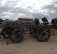Emu Bay Lavender - Newcastle Accommodation