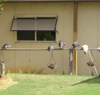 Sandy Grove - Newcastle Accommodation
