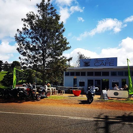 Lower Beechmont QLD Newcastle Accommodation