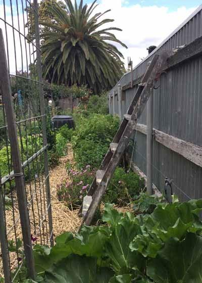 Grand Bar & Bistro - Newcastle Accommodation 11