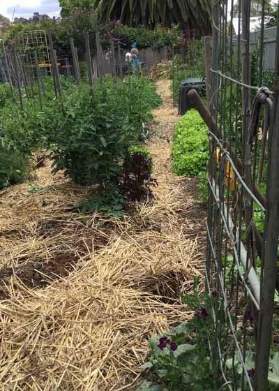 Grand Bar & Bistro - Newcastle Accommodation 1