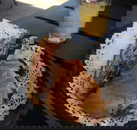 Clove Licensed Restaurant - Newcastle Accommodation