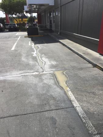 KFC - Newcastle Accommodation 0