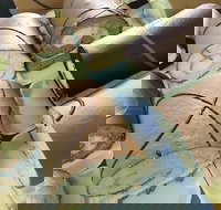 Mourilyan Bakery - Newcastle Accommodation