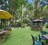 Rainforest - Newcastle Accommodation