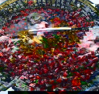 Red Chilli Sichuan Burwood - New Castle Tourism