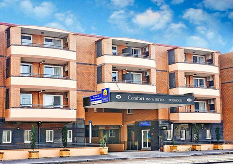 Comfort Inn & Suites Burwood - Newcastle Accommodation 0