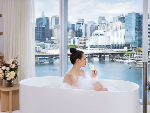 Sofitel Sydney Darling Harbour - Newcastle Accommodation 13