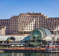 Novotel Sydney on Darling Harbour - Newcastle Accommodation