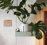 ACE Hotel Sydney - Newcastle Accommodation