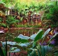 Daintree Eco Lodge  Spa - Newcastle Accommodation
