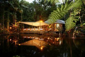 Daintree Eco Lodge & Spa - Newcastle Accommodation 2