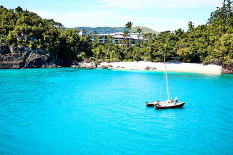 Daydream Island Resort - New Castle Tourism 2