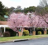 White Lanterns Motel - Newcastle Accommodation