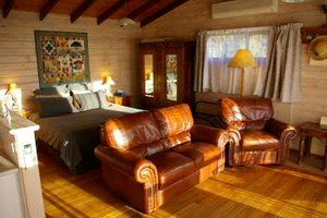 Beech Forest ACT Newcastle Accommodation