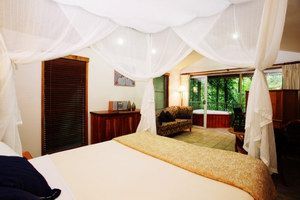Daintree Eco Lodge & Spa - Newcastle Accommodation 1