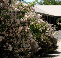 Wine Village Motor Inn - New Castle Tourism