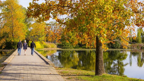 Crowne Plaza Canberra - New Castle Tourism 17