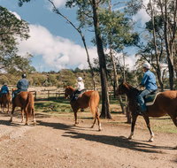 Country Club Tasmania - Newcastle Accommodation