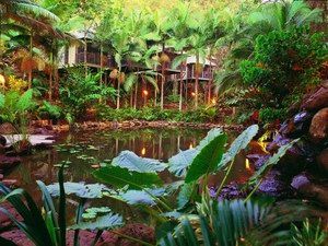 Daintree QLD Newcastle Accommodation