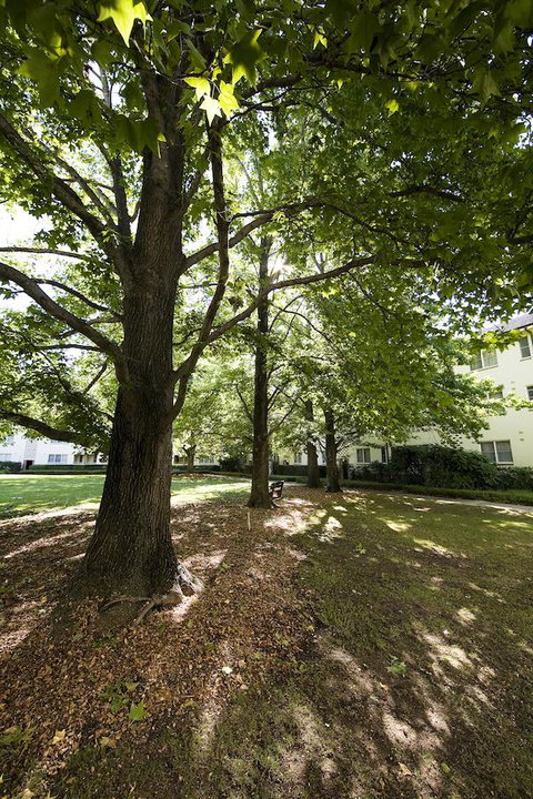 University House - ANU - Newcastle Accommodation 28