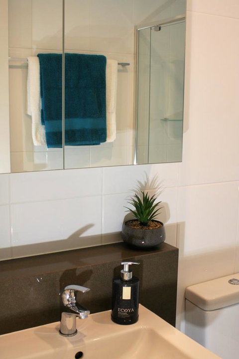 Modern Executive Apt@Barton*1BR*WiFi*Gym*Secure Parking*Canberra - Newcastle Accommodation 13