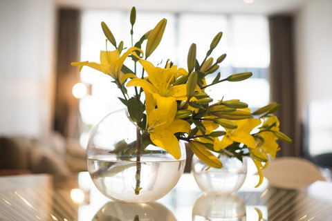 KUI - Manhattan Apartments - Newcastle Accommodation 0