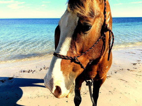 Lure Bed And Breakfast - Newcastle Accommodation 15