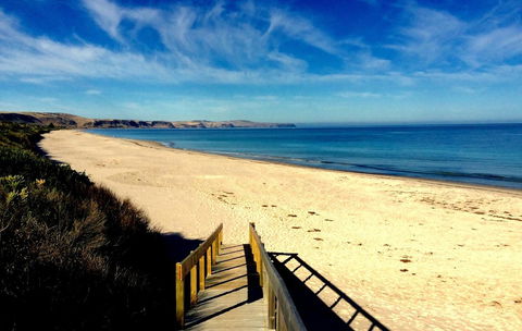 Lure Bed And Breakfast - Newcastle Accommodation 11