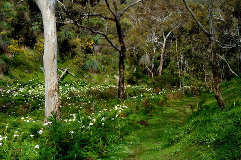 Lure Bed And Breakfast - Newcastle Accommodation 17