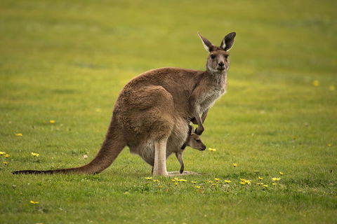 Lure Bed And Breakfast - Newcastle Accommodation 20