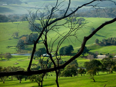 Lure Bed And Breakfast - Newcastle Accommodation 21