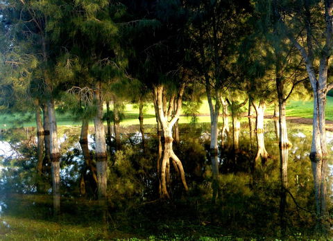 Lure Bed And Breakfast - Newcastle Accommodation 18