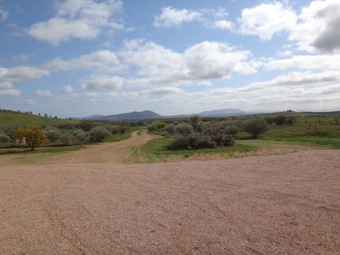 Windana Cottages - Newcastle Accommodation 37