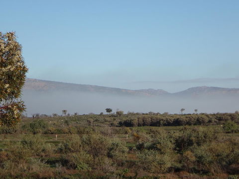 Windana Cottages - Newcastle Accommodation 44