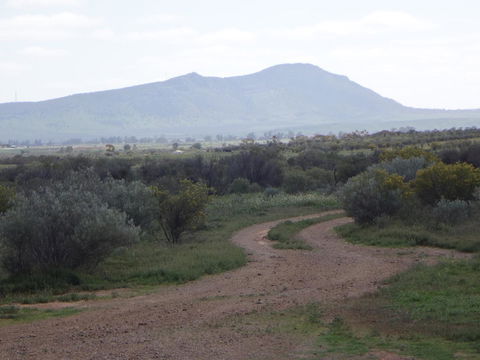 Windana Cottages - Newcastle Accommodation 40