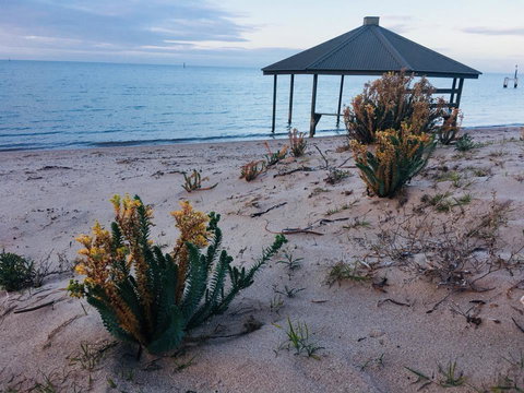 Crystal Blue Apartment - Newcastle Accommodation 24