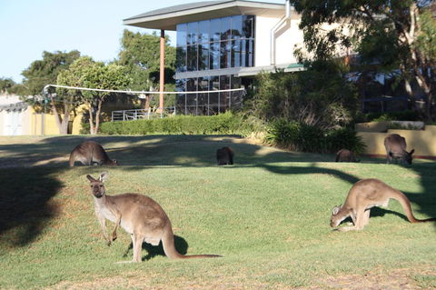 BreakFree Wirrina Cove - Newcastle Accommodation 28