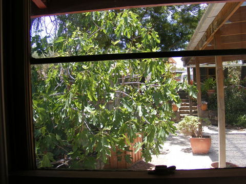 Trevalia Accommodation - Newcastle Accommodation 4