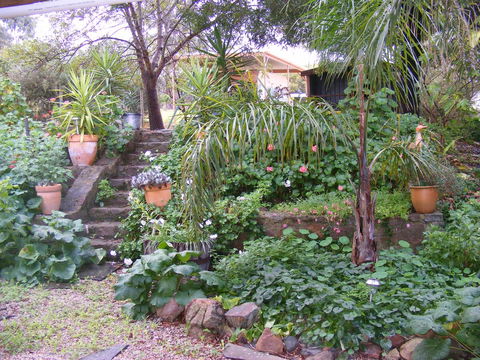 Trevalia Accommodation - Newcastle Accommodation 12