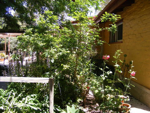 Trevalia Accommodation - Newcastle Accommodation 7