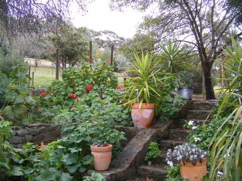 Trevalia Accommodation - Newcastle Accommodation 13