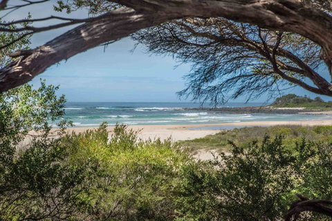 BIG4 Tasman Holiday Parks - Racecourse Beach - Newcastle Accommodation 7