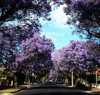 Monaco Court Apartment Adelaide - Newcastle Accommodation