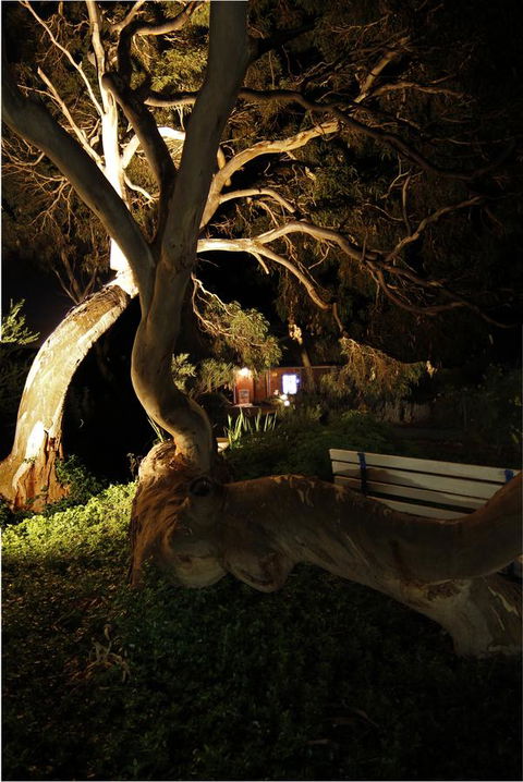 Cape Jervis Holiday Units - Newcastle Accommodation 14