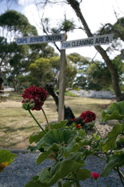 Cape Jervis Holiday Units - Newcastle Accommodation 13