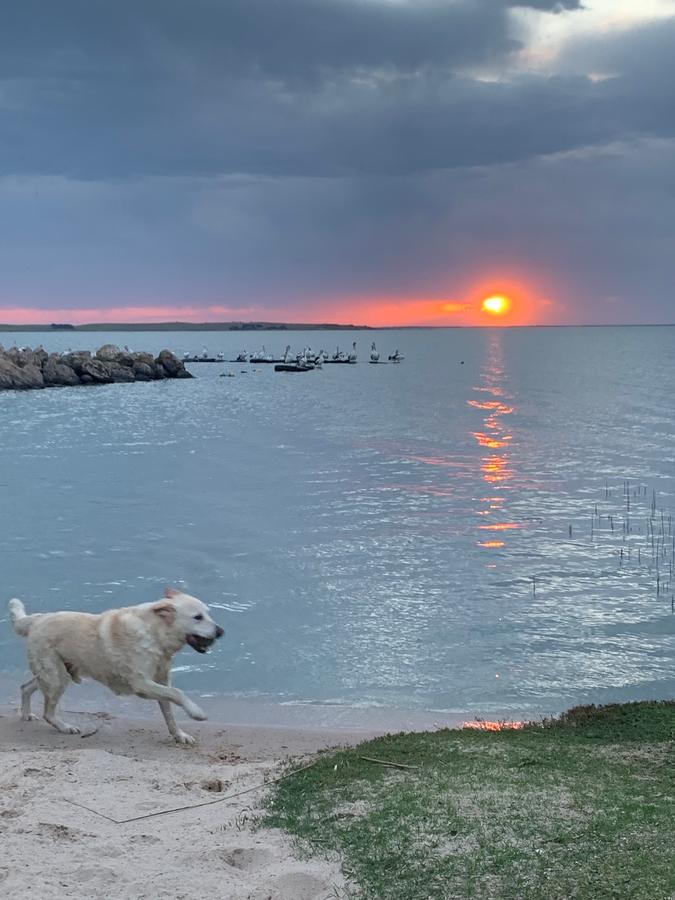 Meningie SA Newcastle Accommodation