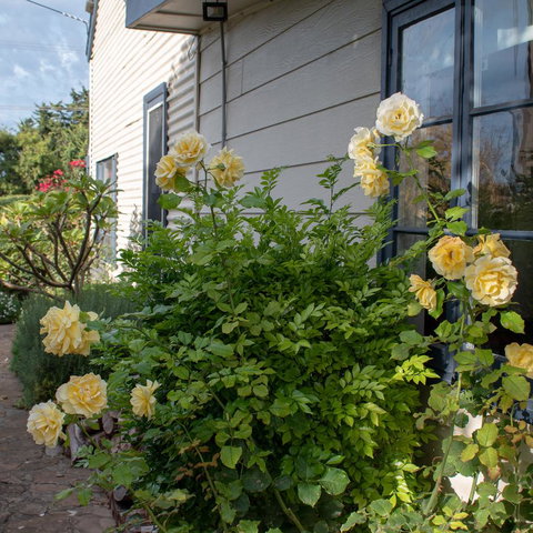 Haven Cottage Kangaroo Island - Newcastle Accommodation 1