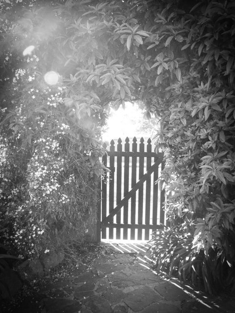 Haven Cottage Kangaroo Island - Newcastle Accommodation 33