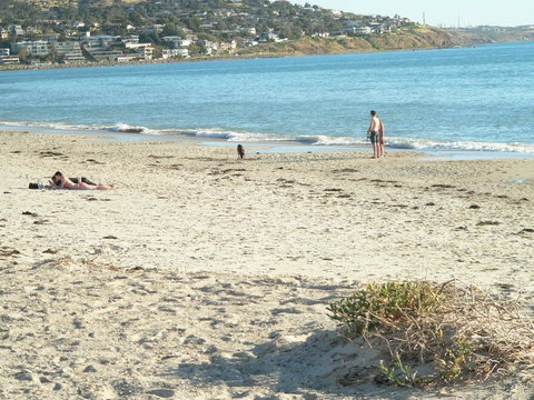 Brighton Beach House - Newcastle Accommodation 12